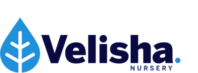 velisha nursery logo